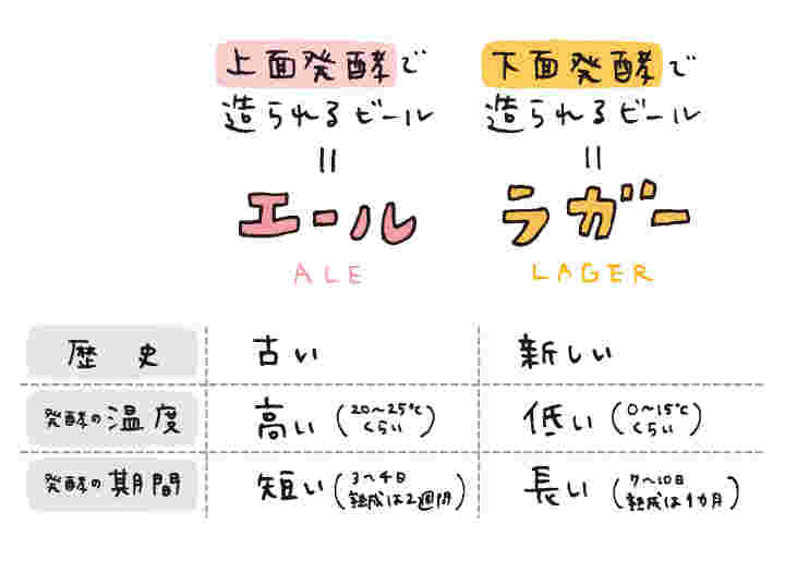エールとラガーの違いをあらわした表