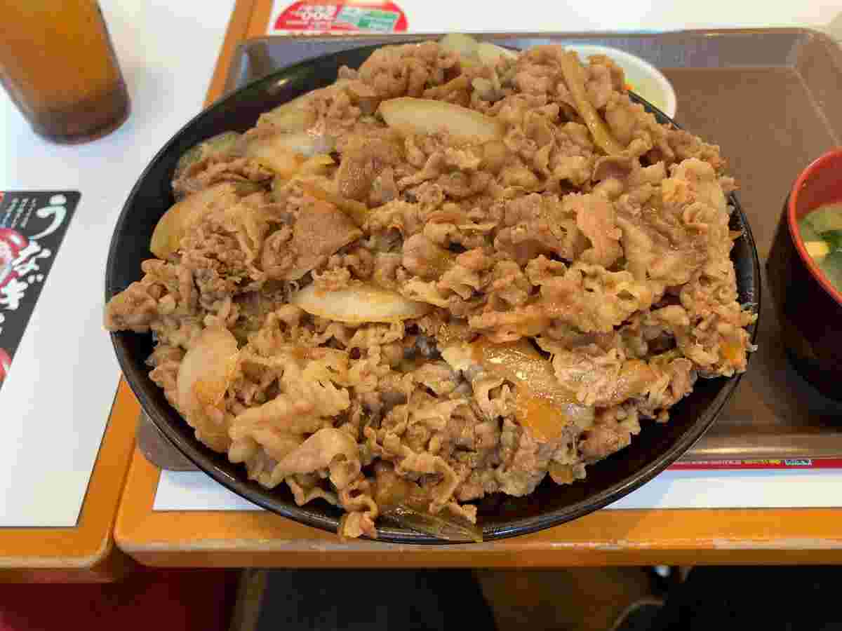 すき家の牛丼の画像