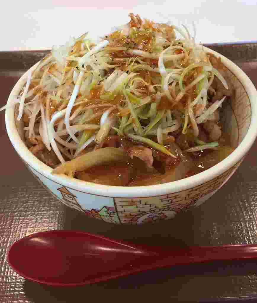 白髪ねぎ牛丼の画像