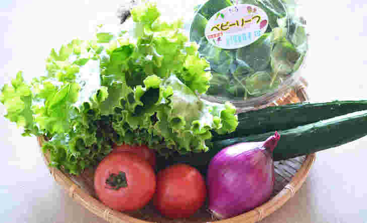 生野菜