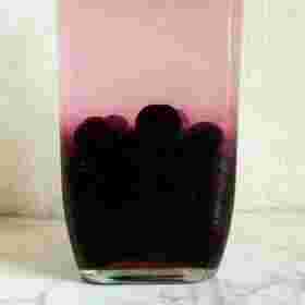 冷凍ブルーベリーとウォッカの果実酒
