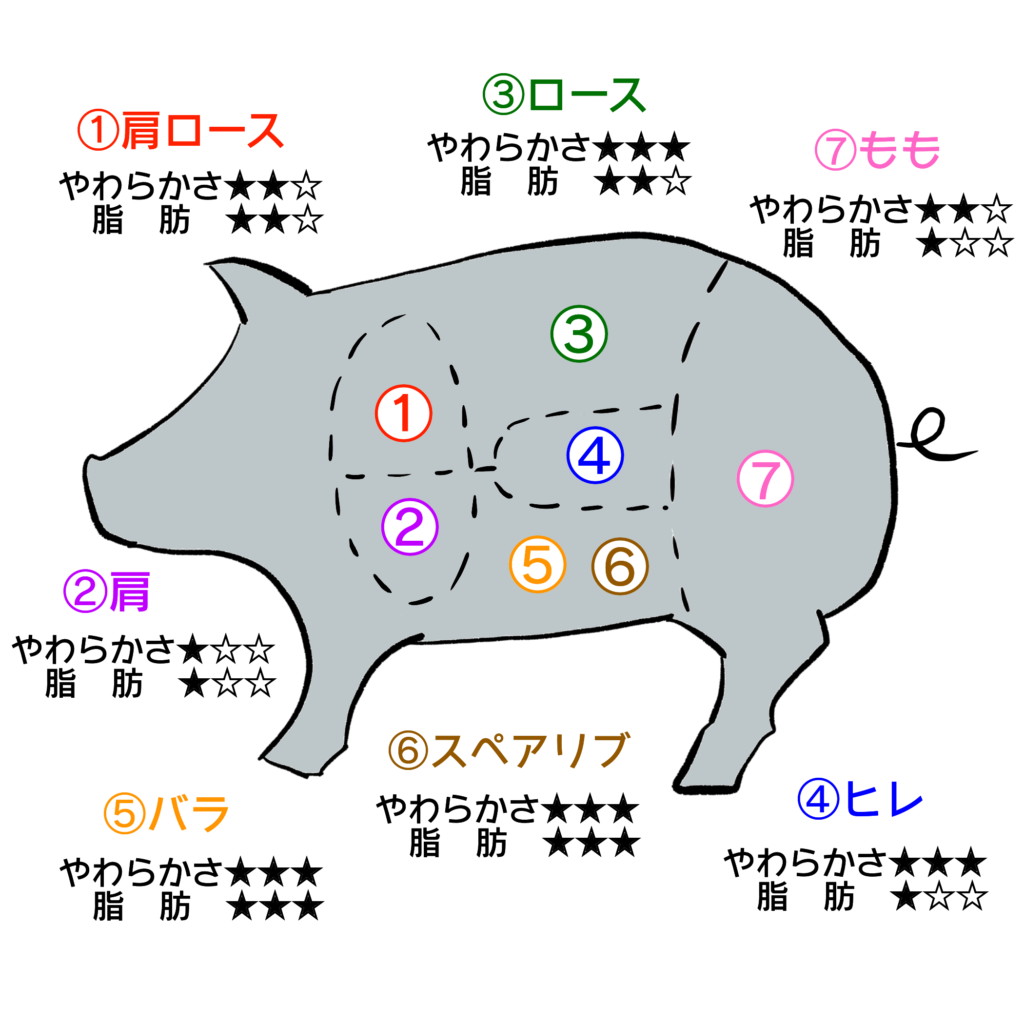 豚肉の部位の紹介