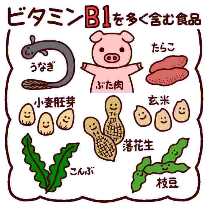 ビタミンB1が多く含まれている食品をイラストで説明