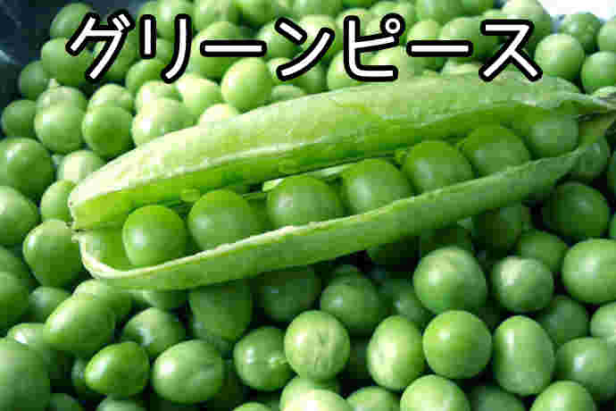 莢にはいったグリーンピースとたくさんのグリーンピースの豆