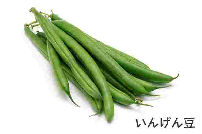 いんげん豆
