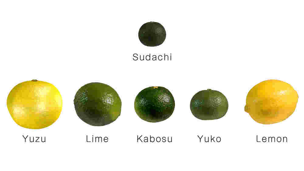 柑橘類の大きさと外観を比べている