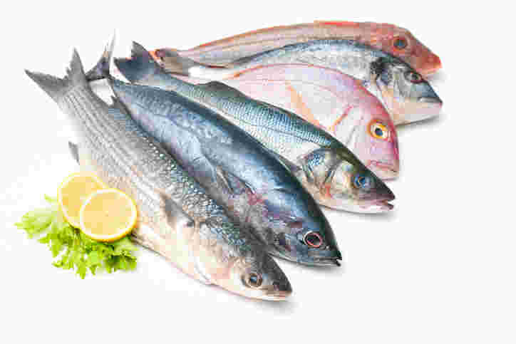 一般的な魚