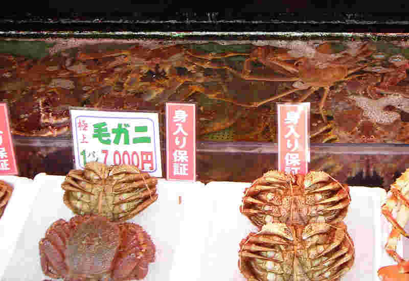 函館の朝一で売られている毛ガニ