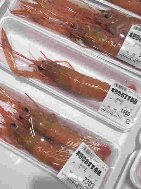 アカザエビパック売り