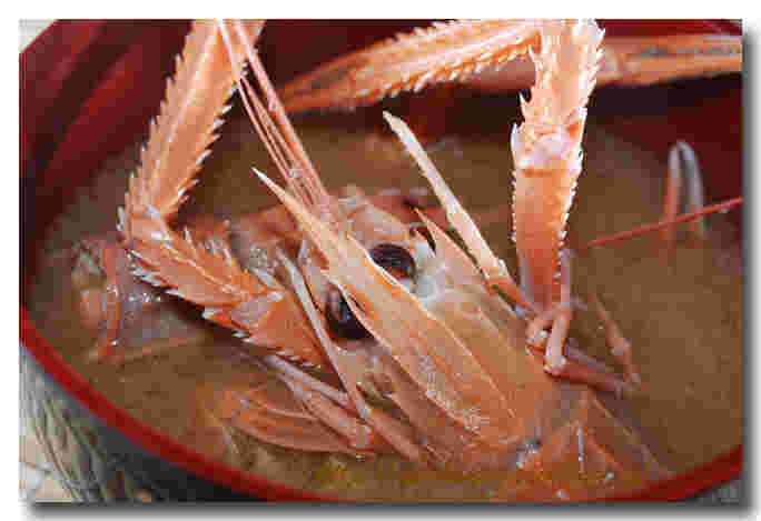 アカザエビの味噌汁