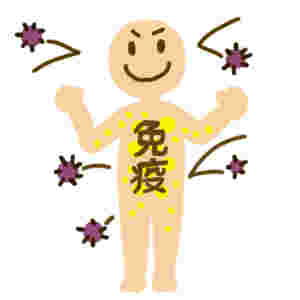 免疫力を高めたイラスト