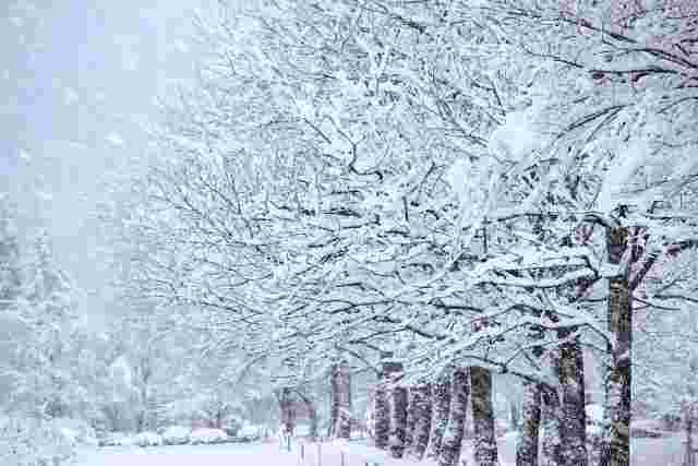 雪が降っている冬の画像
