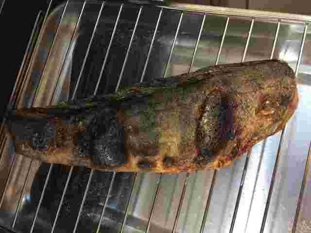 皮を焼いたホッケ