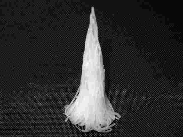 大根を立てて置くけんの様子