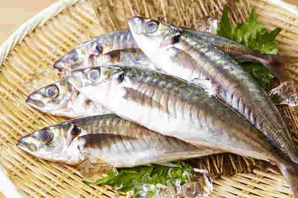 魚がザルにのっている画像