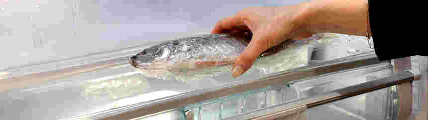 魚を冷蔵庫に入れる画像