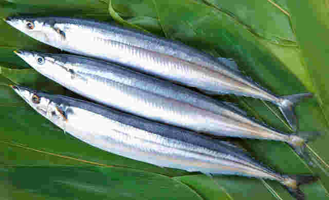 魚丸ごとの画像