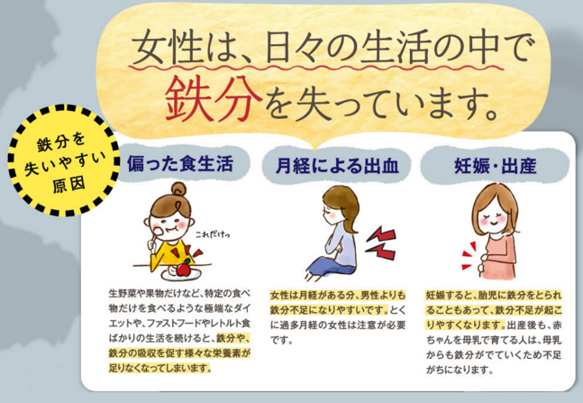 女性と鉄分の関係