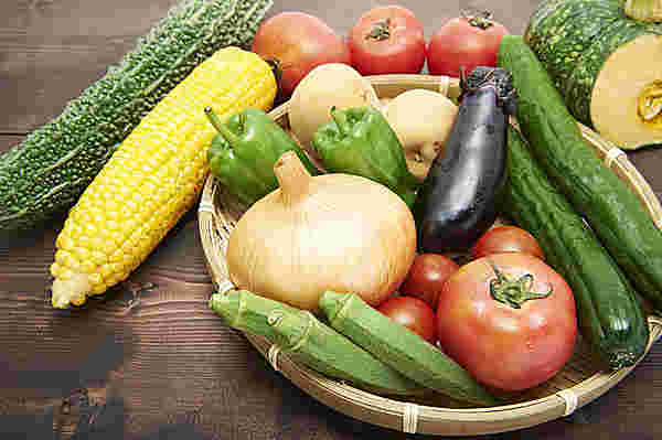 夏野菜