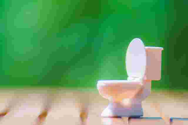 ミニチュアのトイレマスコット