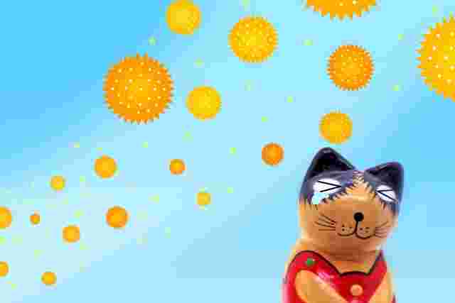 花粉症に悩む猫