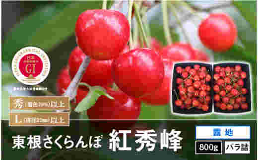 東根市のふるさと納税の紅秀峰