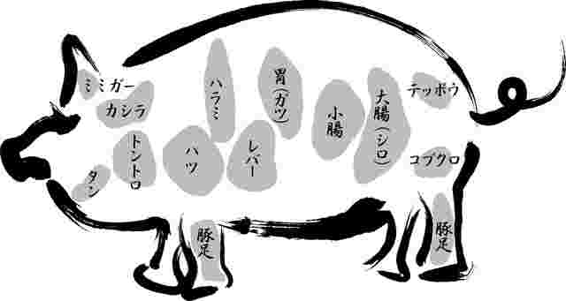 豚のホルモンを絵で表したもの