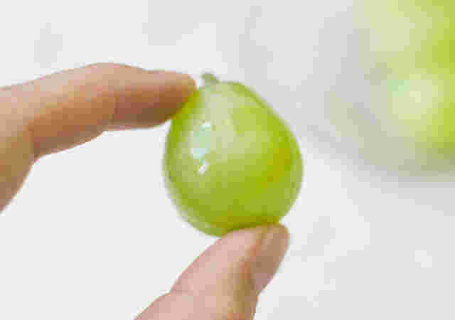 左手で一粒の瀬戸ジャイアンツをつまむ