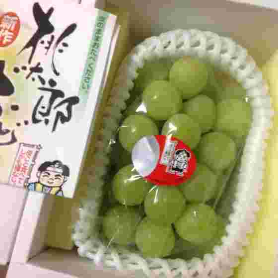箱入り桃太郎と、桃太郎の説明書