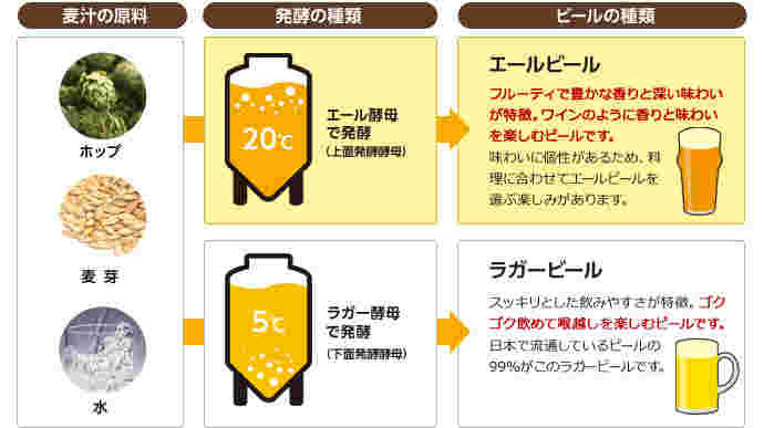 エールとラガーの違い