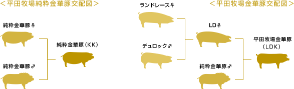 平田牧場のLDK