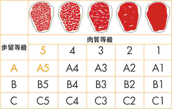 歩留等級と肉質等級のランク表
