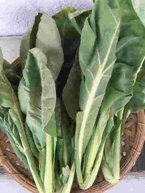 ざるの上の熊本京菜4束