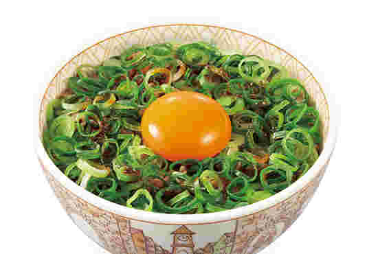 ねぎ玉豚丼