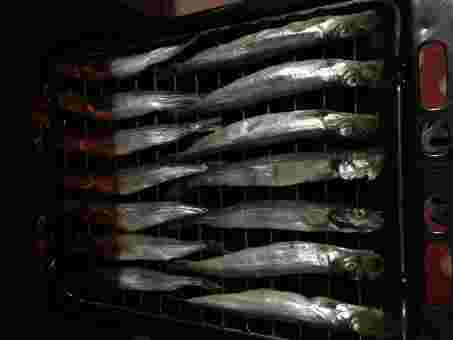 魚グリルに並べられたししゃも