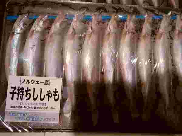 パック売りの子持ちししゃも