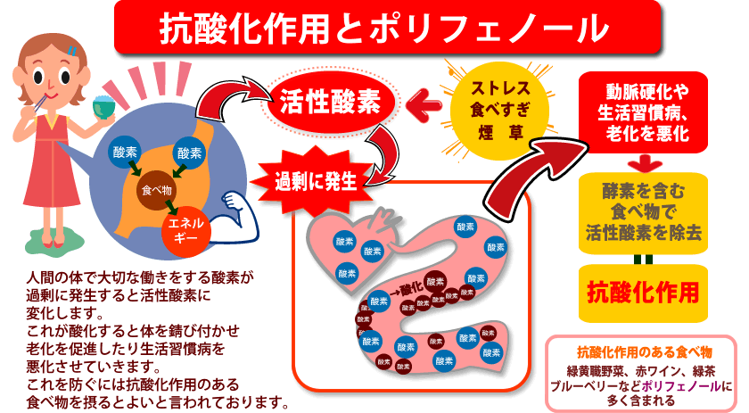 抗酸化作用のイラスト