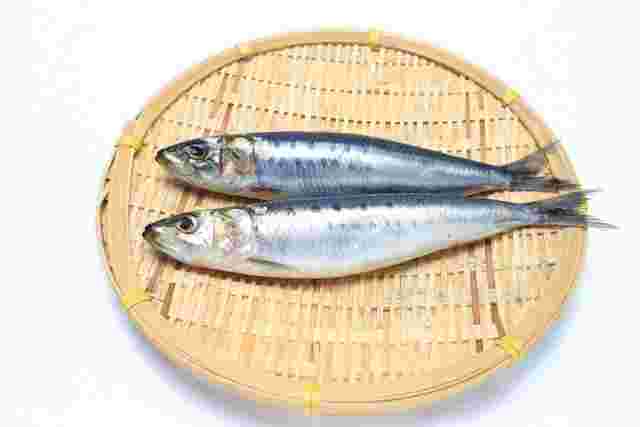ザルに乗った青魚