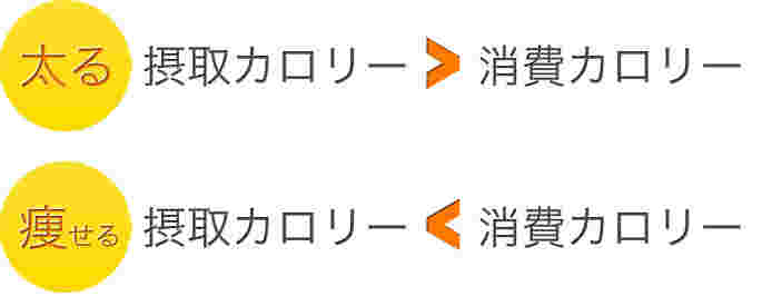摂取カロリーと消費カロリーの原則