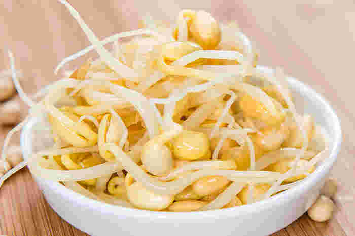 白い器に入った豆もやし