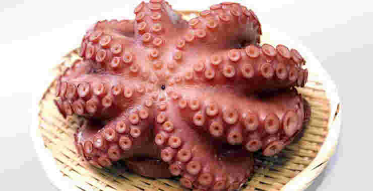茹でタコ