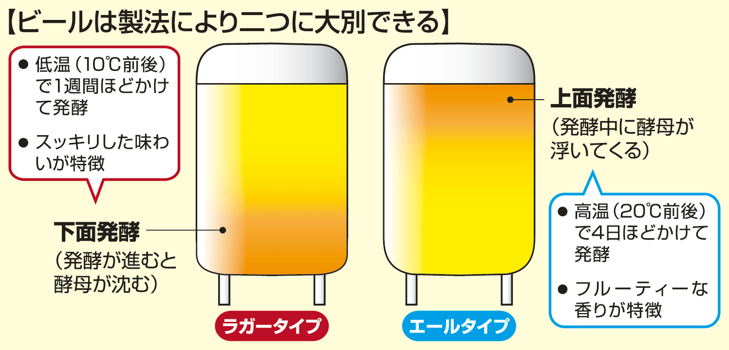 下面発酵と上面発酵の違い