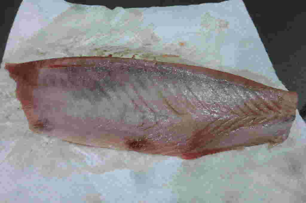 刺身の水気をとっている
