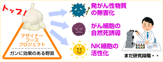 にんにくのガン抑制効果