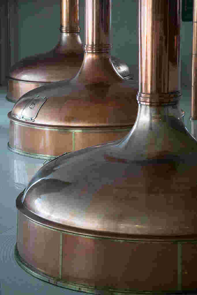 ビール工場の糖化層