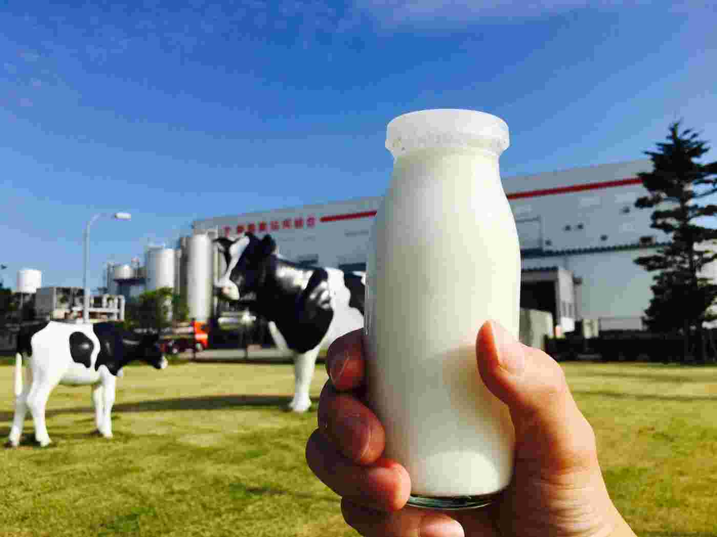 牛乳瓶と加工工場