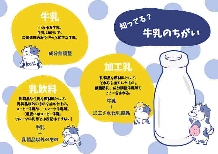 牛乳の違い