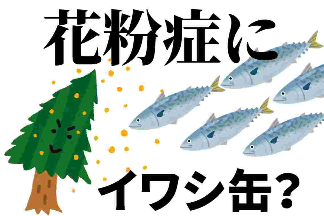 花粉症にイワシ缶のイラスト