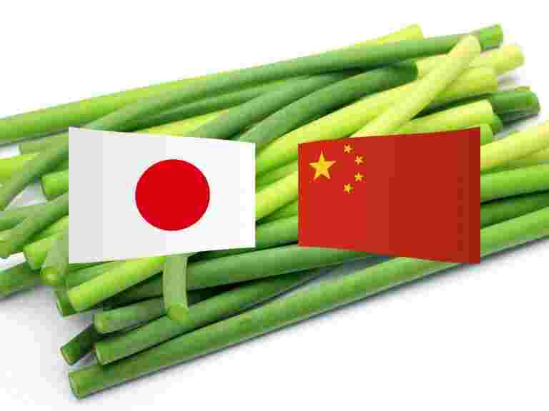 日本と中国の国旗とニンニクの芽