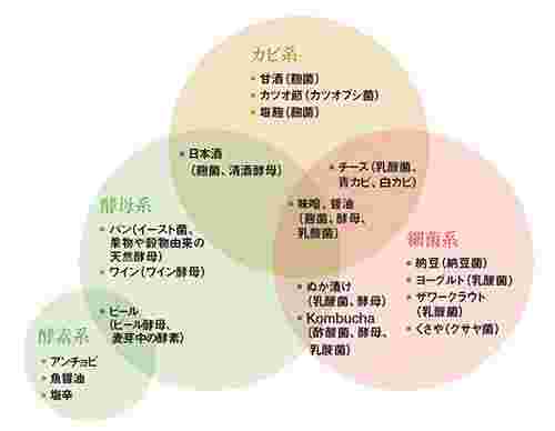 発酵の種類の図形